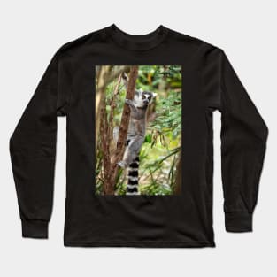 Ring Tailed Lemur Long Sleeve T-Shirt